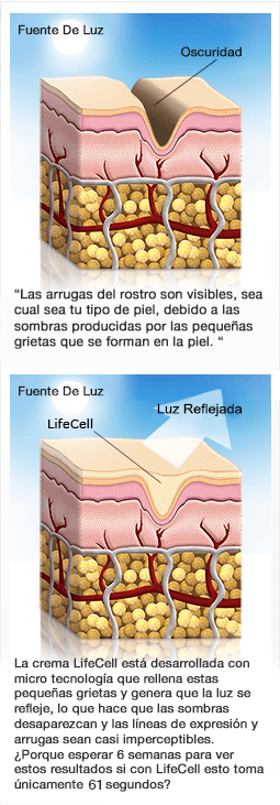 lifecell microtechnology skin cross section