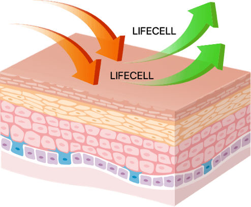 lifecell cosmetics
